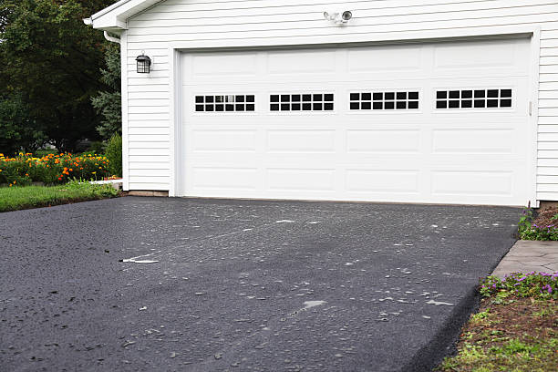 Best Carpet Removal and Disposal  in Jersey Village, TX